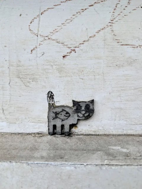 Кот